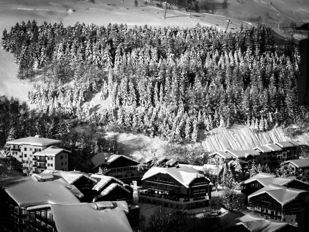 Hotel Turan レ・デュー・アルプ エクステリア 写真