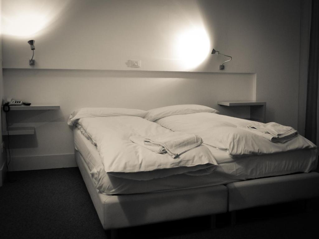 Hotel Turan レ・デュー・アルプ 部屋 写真